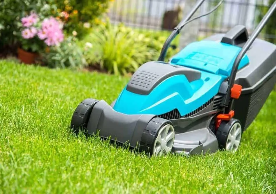 Gepflegte Außenanlage